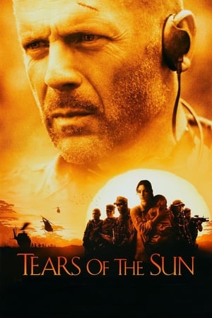 Tears of The Sun (2003) 100mb Hindi Dual Audio movie Download HD Poster Download - Filmyzilla