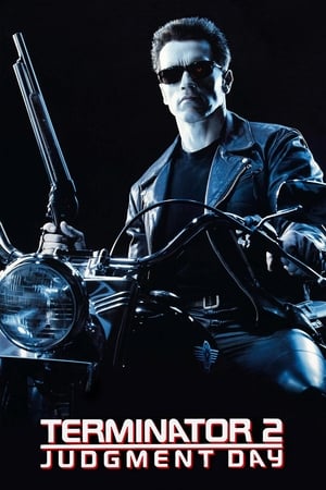 Terminator 2 (1991) Hindi Dual Audio [950MB] HD Poster Download - Filmyzilla