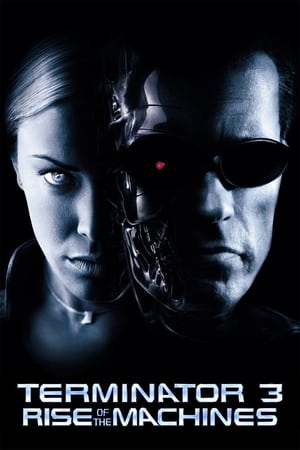 Terminator 3: Rise of the Machines (2003) Hindi Dual Audio 350MB HD Poster Download - Filmyzilla