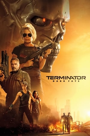 Terminator: Dark Fate (2019) Hindi (Org) Dual Audio [1GB] HD Poster Download - Filmyzilla