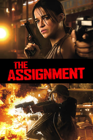 The Assignment (2016) Hindi Dual Audio [850MB] HD Poster Download - Filmyzilla