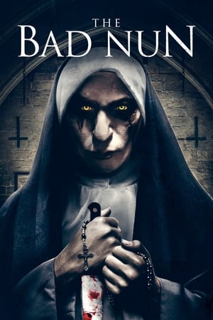The Bad Nun 2018 Hindi Dual Audio 300MB HD Poster Download - Filmyzilla