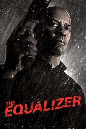 The Equalizer (2014) Hindi Dual Audio – HD Poster Download - Filmyzilla
