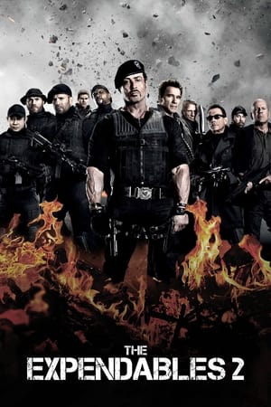 The Expendables 2 (2012) 100mb Hindi Dual Audio movie Download HD Poster Download - Filmyzilla