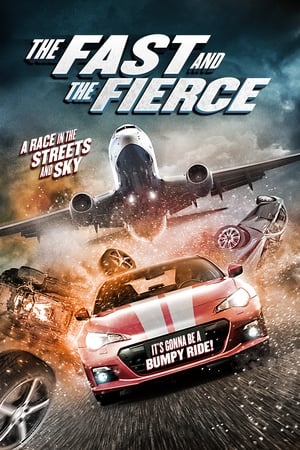 The Fast and the Fierce 2017 Hindi Dual Audio 300MB HD Poster Download - Filmyzilla