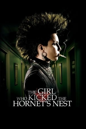 The Girl Who Kicked the Hornet's Nest (2009) Hindi Dual Audio [1.2GB] HD Poster Download - Filmyzilla