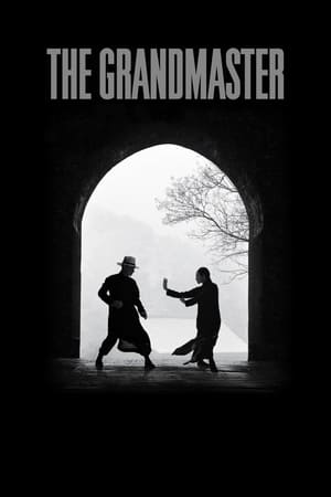 The Grandmaster (2013) Hindi Dual Audio 350MB ESubs HD Poster Download - Filmyzilla