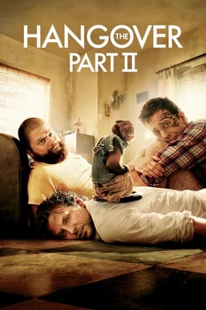 The Hangover Part II (2011) Hindi Dual Audio 300MB HD Poster Download - Filmyzilla