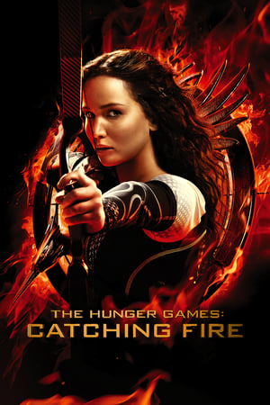 The Hunger Games Catching Fire 2013 Hindi Dual Audio [1.1GB] HD Poster Download - Filmyzilla