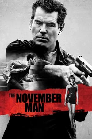 The November Man 2014 100mb Hindi Dual Audio movie Download HD Poster Download - Filmyzilla