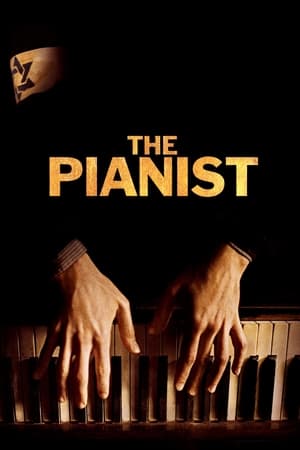 The Pianist (2002) Hindi Dual Audio 450MB HD Poster Download - Filmyzilla