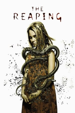 The Reaping (2007) Hindi Dual Audio [700MB] HD Poster Download - Filmyzilla