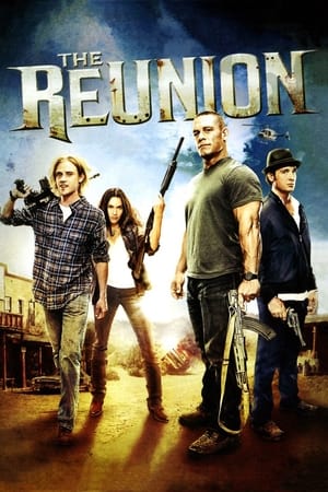 The Reunion (2011) Hindi Dual Audio – HD Poster Download - Filmyzilla