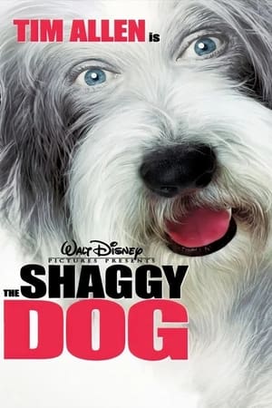 The Shaggy Dog (2006) Hindi Dual Audio [950MB] HD Poster Download - Filmyzilla