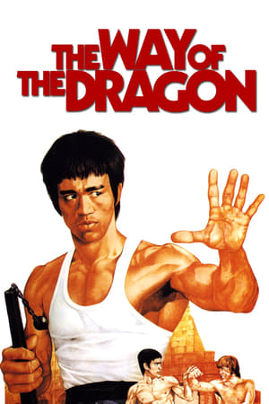 The Way of the Dragon (1972) Hindi Dual Audio 300MB HD Poster Download - Filmyzilla
