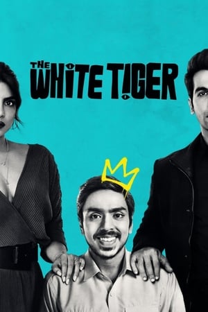The White Tiger (2021) Hindi Movie – [370MB] HD Poster Download - Filmyzilla