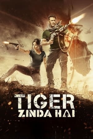Tiger Zinda Hai 2017 200mb hindi movie Download HD Poster Download - Filmyzilla