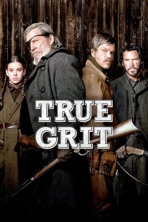 True Grit (2010) Hindi Dual Audio 350MB HD Poster Download - Filmyzilla