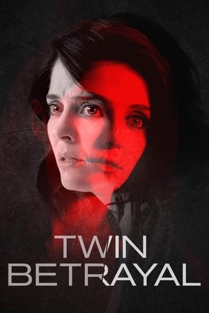 Twin Betrayal (2018) Hindi Dual Audio [640MB] HD Poster Download - Filmyzilla