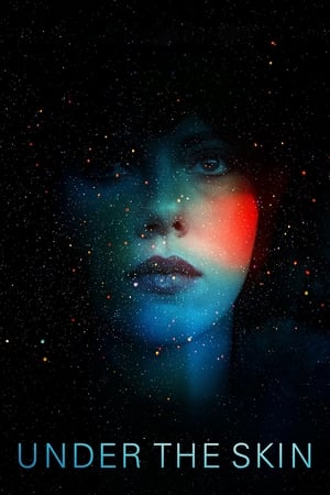 Under the Skin 2013 Hindi Dual Audio 350MB HD Poster Download - Filmyzilla