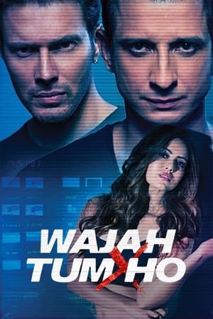 Wajah Tum Ho 2016 [PDVDRip] 700MB BEST HD Poster Download - Filmyzilla