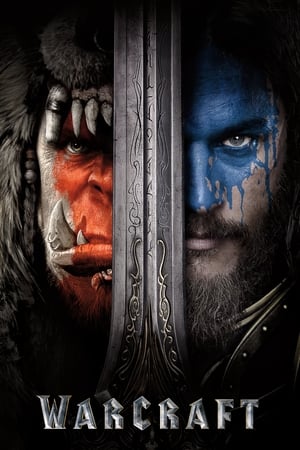 Warcraft: The Beginning (2016) Hindi Dual Audio 350MB ESubs HD Poster Download - Filmyzilla