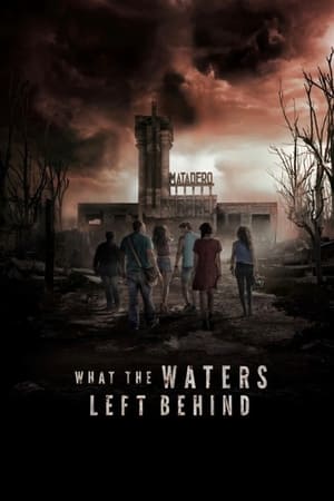 What the Waters Left Behind 2017 Hindi Dual Audio – HD Poster Download - Filmyzilla