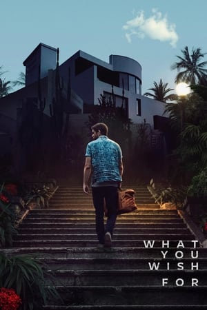 What You Wish For 2023 Dual Audio Hindi – – HD Poster Download - Filmyzilla