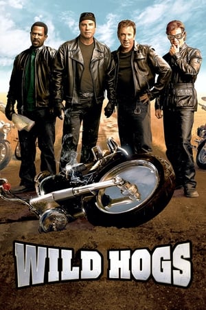 Wild Hogs (2007) Hindi Dual Audio 340MB HD Poster Download - Filmyzilla