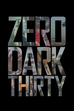 Zero Dark Thirty 2012 Hindi Dual Audio 450MB HD Poster Download - Filmyzilla